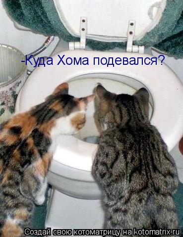 -Куда Хома подевался?... Котоматрица: -Куда Хома подевался?
