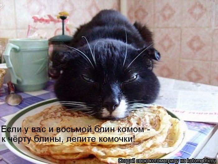 Если у вас и восьмой блин комом - к чёрту блины, лепите комочки!... Котоматрица: Если у вас и восьмой блин комом - к чёрту блины, лепите комочки!