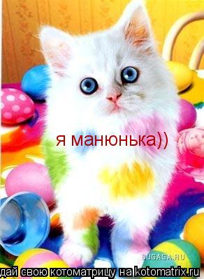 я манюнька))... Котоматрица: я манюнька))