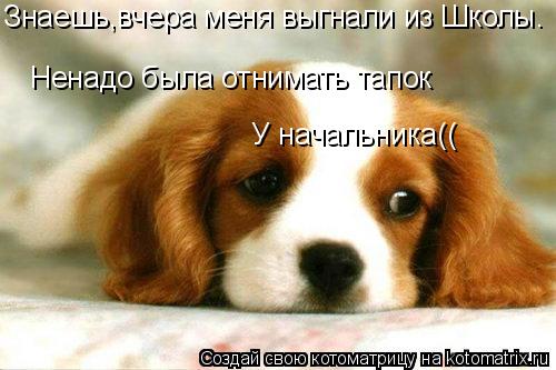 Знаешь,вчера меня выгнали из Школы. Ненадо была отнимать тапок У начальника((... Котоматрица: Знаешь,вчера меня выгнали из Школы. Ненадо была отнимать тапок У начальника((