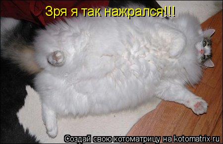 Зря я так нажрался!!!... Котоматрица: Зря я так нажрался!!!