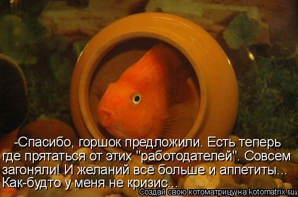 -Спасибо, горшок предложили. Есть теперь где прятаться от этих "работодателей". Совсем загоняли! И же... Котоматрица: -Спасибо, горшок предложили. Есть теперь где прятаться от этих "работодателей". Совсем загоняли! И желаний всё больше и аппетиты... Как-будто