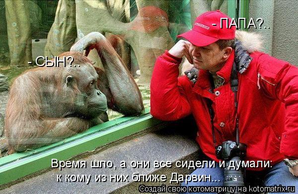 - ПАПА?.. - СЫН?.. Время шло, а они все сидели и думали: к кому из них ближе Дарвин...... Котоматрица: - ПАПА?.. - СЫН?.. Время шло, а они все сидели и думали: к кому из них ближе Дарвин...