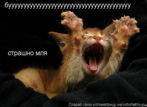 буууууууууууууууууууууууууууууууууууууууу страшно мля... Котоматрица: буууууууууууууууууууууууууууууууууууууууу страшно мля