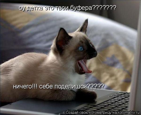 оу детка это твои буфера??????? ничего!!! себе поделишся?????... Котоматрица: оу детка это твои буфера??????? ничего!!! себе поделишся?????