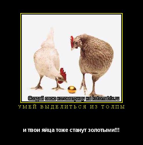Умей выделиться из толпы и твои яйца тоже станут золотыми!!!... Котоматрица: Умей выделиться из толпы и твои яйца тоже станут золотыми!!!