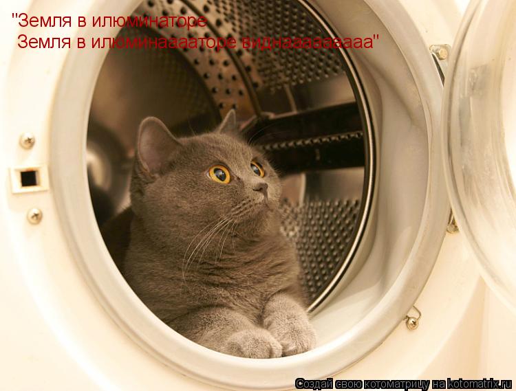 "Земля в илюминаторе Земля в илюминааааторе виднааааааааа"... Котоматрица: "Земля в илюминаторе Земля в илюминааааторе виднааааааааа"