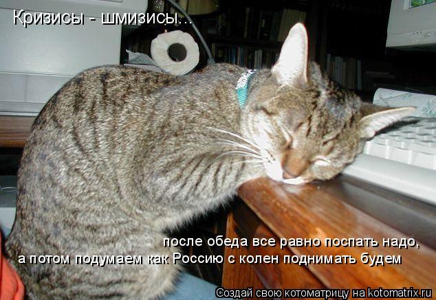 Кризисы - шмизисы... после обеда все равно поспать надо, а потом подумаем как Россию с колен поднима... Котоматрица: Кризисы - шмизисы... после обеда все равно поспать надо, а потом подумаем как Россию с колен поднимать будем
