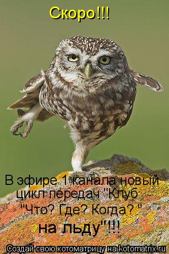 Скоро!!! В эфире 1 канала новый цикл передач "Клуб "Что? Где? Когда?»" на льду"!!!... Котоматрица: Скоро!!! В эфире 1 канала новый цикл передач "Клуб "Что? Где? Когда?»" на льду"!!!
