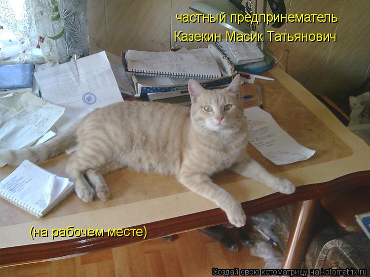частный предпринематель Казекин Масик Татьянович (на рабочем месте)... Котоматрица: частный предпринематель Казекин Масик Татьянович (на рабочем месте)