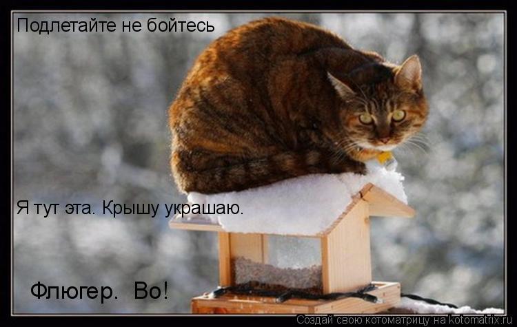 Подлетайте не бойтесь Я тут эта… Крышу украшаю… Флюгер… Во!... Котоматрица: Подлетайте не бойтесь Я тут эта… Крышу украшаю… Флюгер… Во!