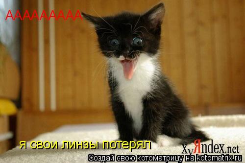 ААААААААА я свои линзы потерял... Котоматрица: ААААААААА я свои линзы потерял