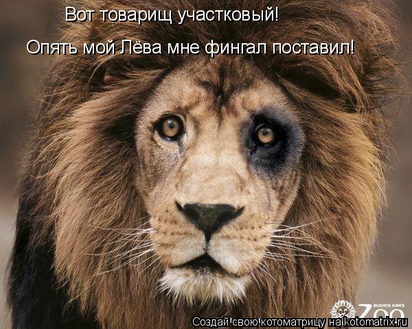 Вот товарищ участковый! Опять мой Лёва мне фингал поставил!... Котоматрица: Вот товарищ участковый! Опять мой Лёва мне фингал поставил!