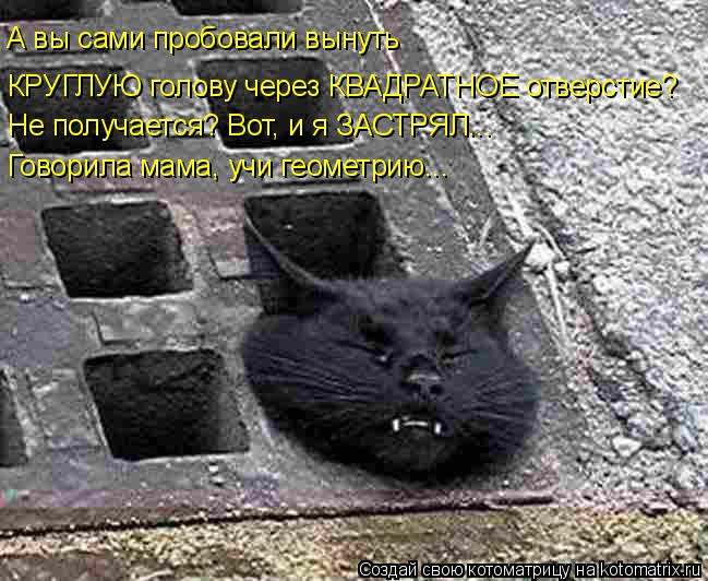 А вы сами пробовали вынуть КРУГЛУЮ голову через КВАДРАТНОЕ отверстие? Не получается? Вот, и я ЗАСТРЯ... Котоматрица: А вы сами пробовали вынуть КРУГЛУЮ голову через КВАДРАТНОЕ отверстие? Не получается? Вот, и я ЗАСТРЯЛ... Говорила мама, учи геометрию...