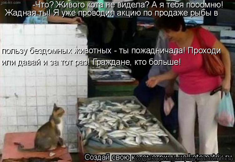 -Что? Живого кота не видела? А я тебя пооомню! Жадная ты! Я уже проводил акцию по продаже рыбы в поль... Котоматрица: -Что? Живого кота не видела? А я тебя пооомню! Жадная ты! Я уже проводил акцию по продаже рыбы в пользу бездомных животных - ты пожадничала! Пр
