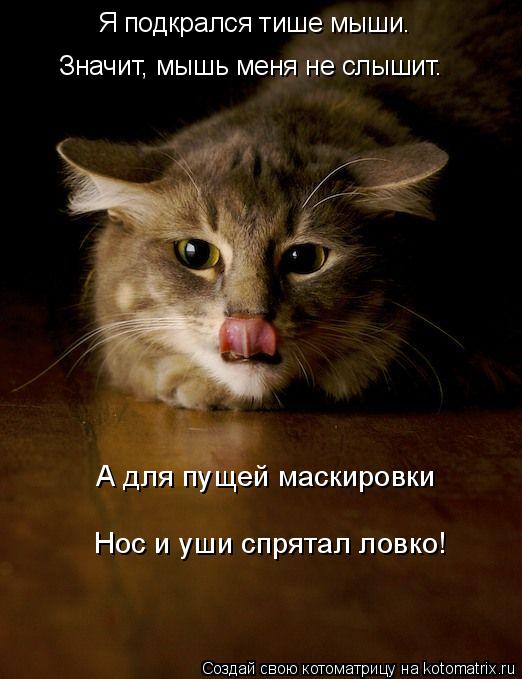 Котоматрица: Я подкрался тише мыши. Значит, мышь меня не слышит. А для пущей маскировки Нос и уши спрятал ловко!