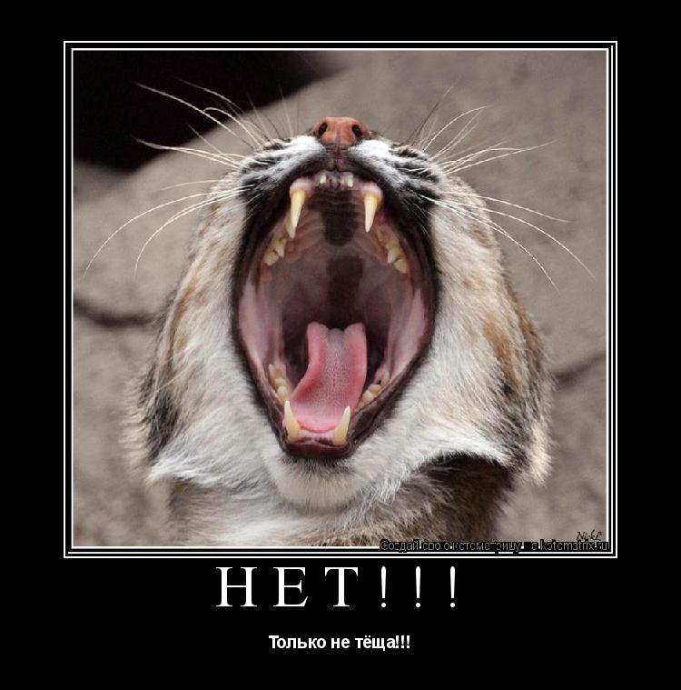 НЕТ!!! Только не тёща!!!... Котоматрица: НЕТ!!! Только не тёща!!!