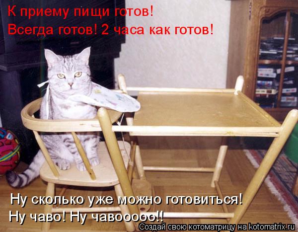 К приему пищи готов! Ну сколько уже можно готовиться! Всегда готов! 2 часа как готов! Ну чаво! Ну чав... Котоматрица: К приему пищи готов! Ну сколько уже можно готовиться! Всегда готов! 2 часа как готов! Ну чаво! Ну чавооооо!!