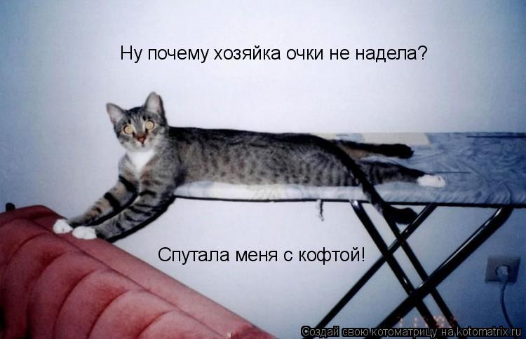 Ну почему хозяйка очки не надела? Спутала меня с кофтой!... Котоматрица: Ну почему хозяйка очки не надела? Спутала меня с кофтой!