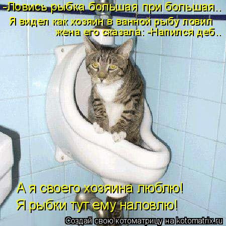 -Ловись рыбка большая при большая.. Я видел как хозяин в ванной рыбу ловил жена его сказала: -Напился... Котоматрица: -Ловись рыбка большая при большая.. Я видел как хозяин в ванной рыбу ловил жена его сказала: -Напился деб.. Я рыбки тут ему наловлю! А я своего