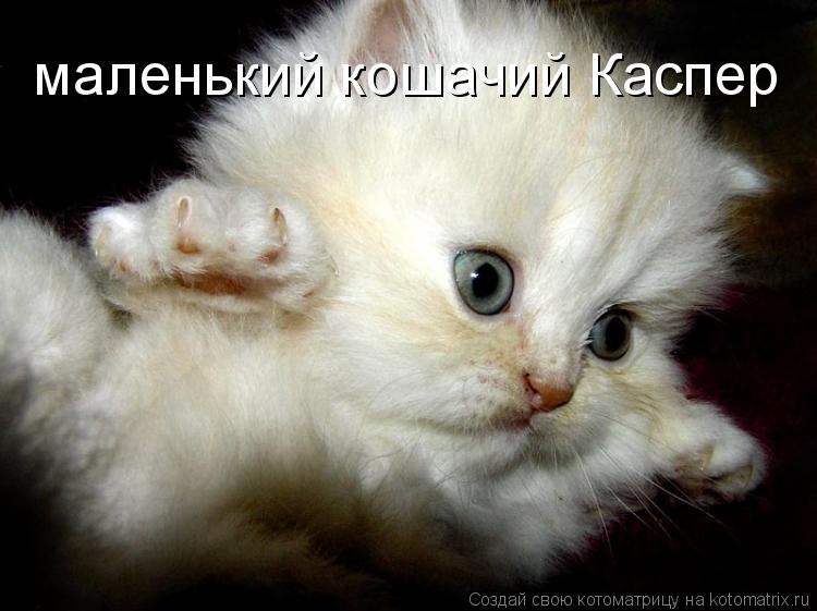 маленький кошачий Каспер... Котоматрица: маленький кошачий Каспер