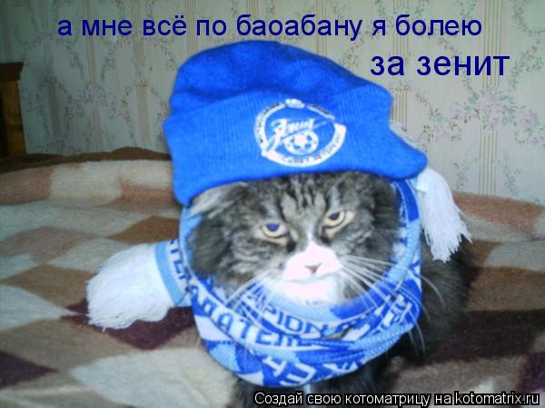 а мне всё по баоабану я болею за зенит... Котоматрица: а мне всё по баоабану я болею за зенит