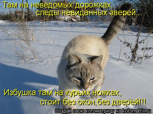 Там на неведомых дорожках, следы невиданных зверей... Избушка там на курьих ножках, стоит без окон,бе... Котоматрица: Там на неведомых дорожках, следы невиданных зверей... Избушка там на курьих ножках, стоит без окон,без дверей!!!