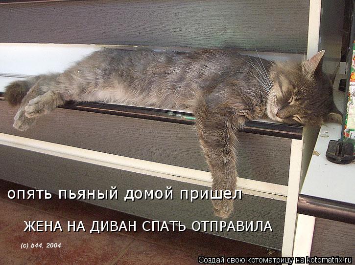 опять пьяный домой пришел ЖЕНА НА ДИВАН СПАТЬ ОТПРАВИЛА... Котоматрица: опять пьяный домой пришел ЖЕНА НА ДИВАН СПАТЬ ОТПРАВИЛА