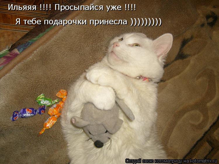 Котоматрица: Ильяяя !!!! Просыпайся уже !!!! Я тебе подарочки принесла )))))))))