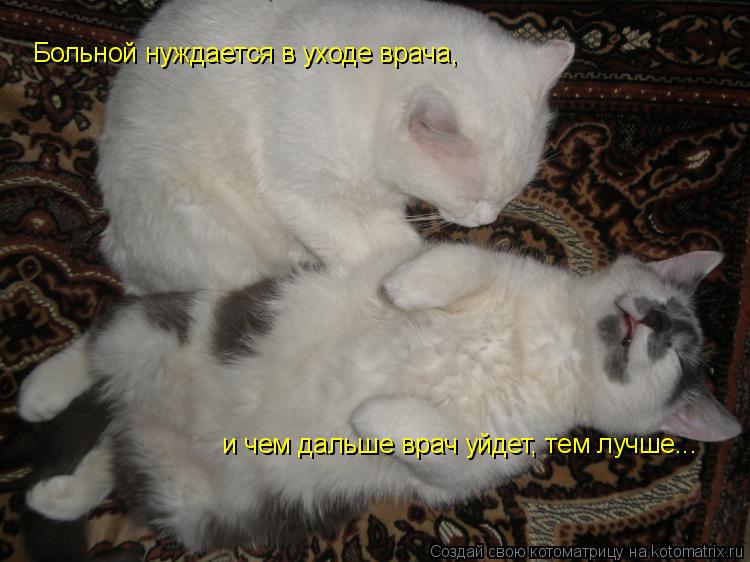 Больной нуждается в уходе врача, и чем дальше врач уйдет, тем лучше...... Котоматрица: Больной нуждается в уходе врача, и чем дальше врач уйдет, тем лучше...