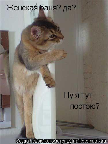 Женская баня? да? Ну я тут постою?... Котоматрица: Женская баня? да? Ну я тут постою?