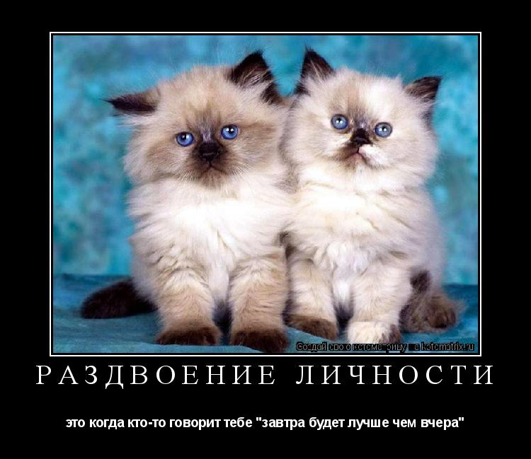 раздвоение личности это когда кто-то говорит тебе "завтра будет лучше чем вчера"... Котоматрица: раздвоение личности это когда кто-то говорит тебе "завтра будет лучше чем вчера"