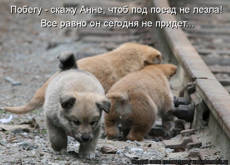 Побегу - скажу Анне, чтоб под поезд не лезла! Все равно он сегодня не придет...... Котоматрица: Побегу - скажу Анне, чтоб под поезд не лезла! Все равно он сегодня не придет...