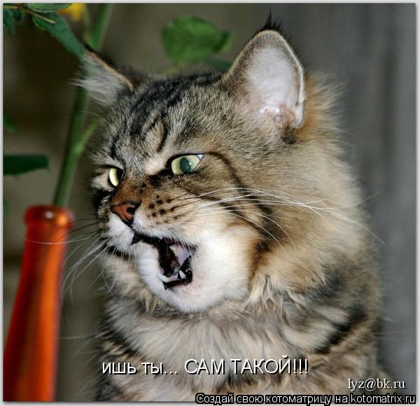 ишь ты... САМ ТАКОЙ!!!... Котоматрица: ишь ты... САМ ТАКОЙ!!!