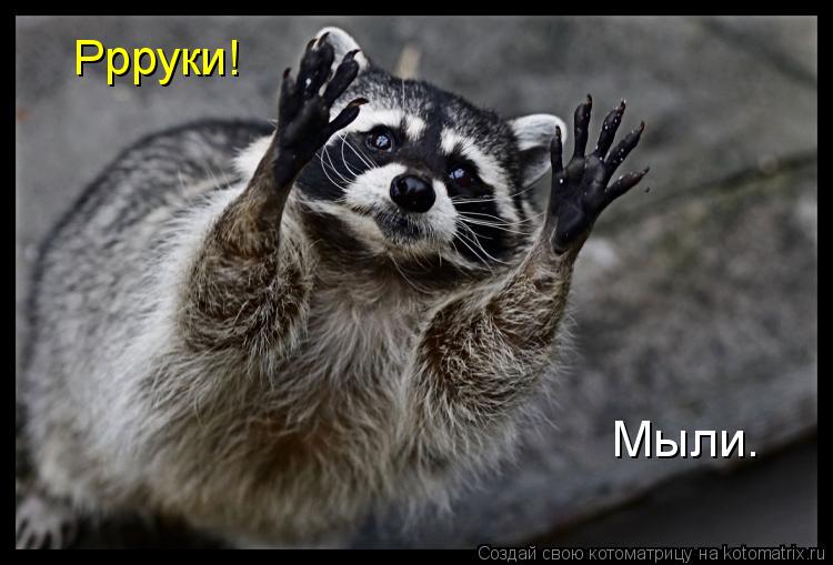 Ррруки! Мыли.... Котоматрица: Ррруки! Мыли.
