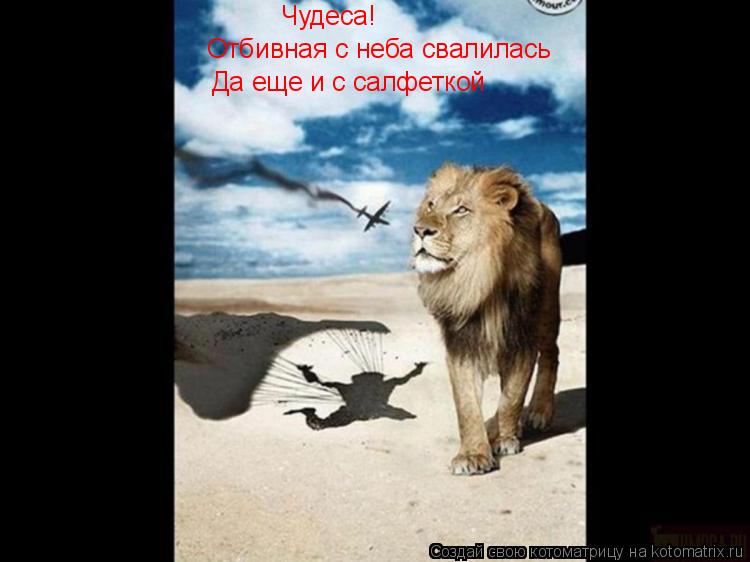 Чудеса! Отбивная с неба свалилась Да еще и с салфеткой... Котоматрица: Чудеса! Отбивная с неба свалилась Да еще и с салфеткой