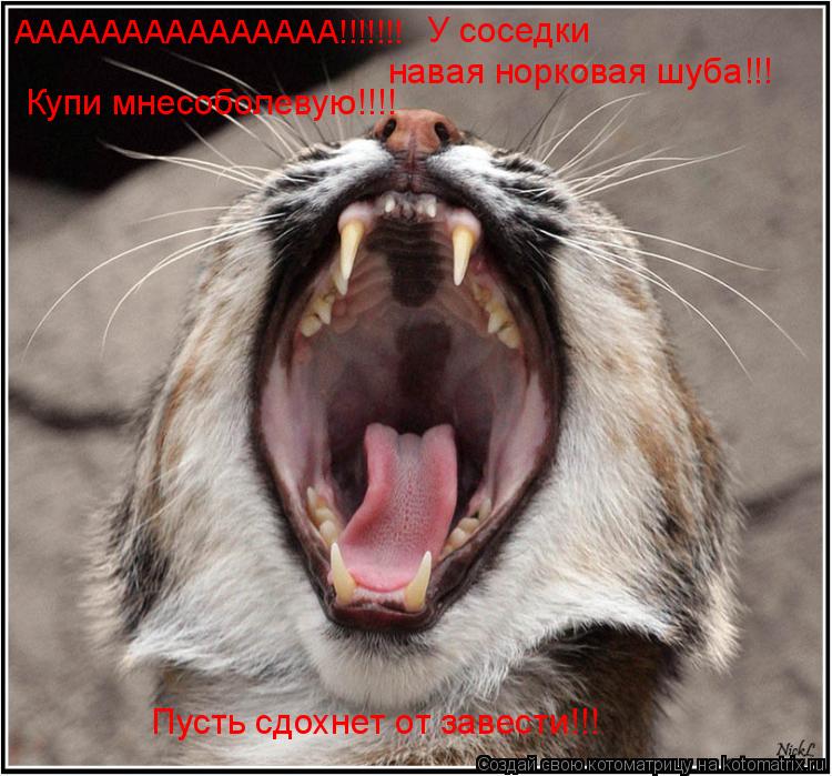 ААААААААААААААА!!!!!!! У соседки навая норковая шуба!!! Купи мнесоболевую!!!! Пусть сдохнет от завес... Котоматрица: ААААААААААААААА!!!!!!! У соседки навая норковая шуба!!! Купи мнесоболевую!!!! Пусть сдохнет от завести!!!