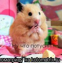 Ну что потусим?... Котоматрица: Ну что потусим?