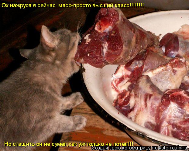 Ох нажруся я сейчас, мясо-просто высший класс!!!!!!!! Но стащить он не сумел,как уж только не потел!!... Котоматрица: Ох нажруся я сейчас, мясо-просто высший класс!!!!!!!! Но стащить он не сумел,как уж только не потел!!!