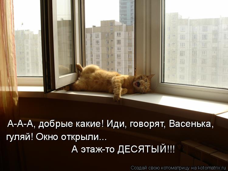 А-А-А, добрые какие! Иди, говорят, Васенька, гуляй! Окно открыли... А этаж-то ДЕСЯТЫЙ!!!... Котоматрица: А-А-А, добрые какие! Иди, говорят, Васенька, гуляй! Окно открыли... А этаж-то ДЕСЯТЫЙ!!!