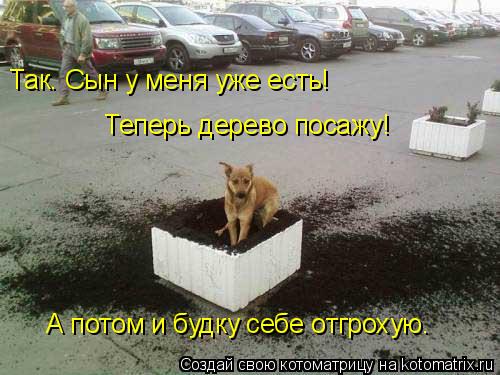 Так. Сын у меня уже есть! Теперь дерево посажу! А потом и будку себе отгрохую.... Котоматрица: Так. Сын у меня уже есть! Теперь дерево посажу! А потом и будку себе отгрохую.