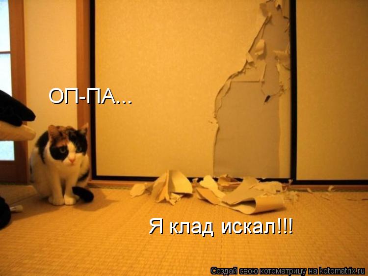 ОП-ПА... Я клад искал!!!... Котоматрица: ОП-ПА... Я клад искал!!!
