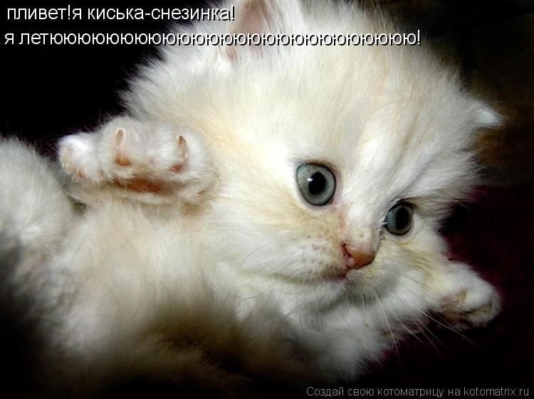 пливет!я киська-снезинка! я летюююююююююююююююююююююююююю!... Котоматрица: пливет!я киська-снезинка! я летюююююююююююююююююююююююююю!
