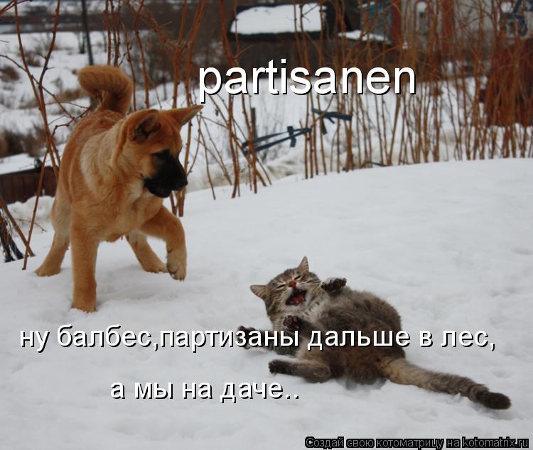 partisanen ну балбес,партизаны дальше в лес, а мы на даче..... Котоматрица: partisanen ну балбес,партизаны дальше в лес, а мы на даче..
