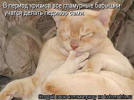 В период кризиса все гламурные барышни учатся делать педикюр сами.... Котоматрица: В период кризиса все гламурные барышни учатся делать педикюр сами.