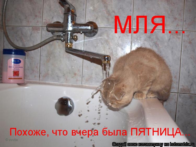 МЛЯ... Похоже, что вчера была ПЯТНИЦА...... Котоматрица: МЛЯ... Похоже, что вчера была ПЯТНИЦА...
