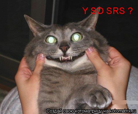 Y SO SRS ?... Котоматрица: Y SO SRS ?