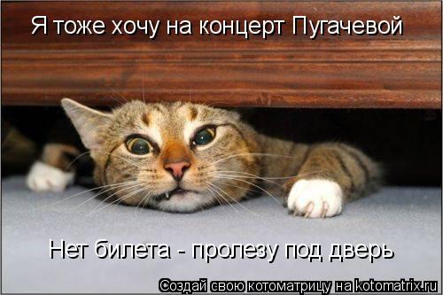 Нет билета - пролезу под дверь Я тоже хочу на концерт Пугачевой... Котоматрица: Нет билета - пролезу под дверь Я тоже хочу на концерт Пугачевой