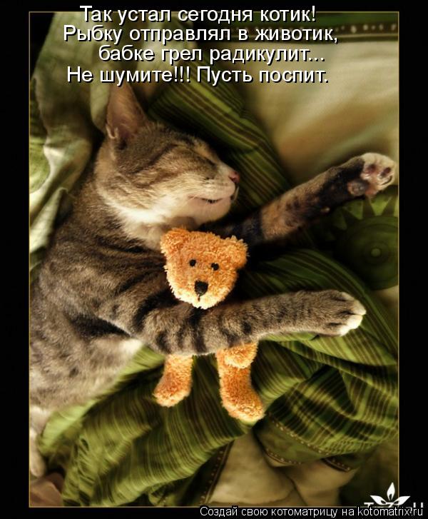 Так устал сегодня котик! Рыбку отправлял в животик, бабке грел радикулит... Не шумите!!! Пусть поспи... Котоматрица: Так устал сегодня котик! Рыбку отправлял в животик, бабке грел радикулит... Не шумите!!! Пусть поспит.