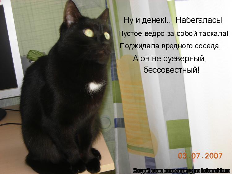 Ну и денек!... Набегалась! Пустое ведро за собой таскала! Поджидала вредного соседа.... бессовестны... Котоматрица: Ну и денек!... Набегалась! Пустое ведро за собой таскала! Поджидала вредного соседа.... бессовестный! А он не суеверный,